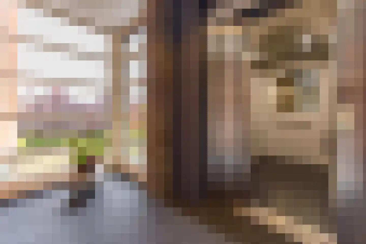 Havenkade 25 Musselkanaal thumbnail 8