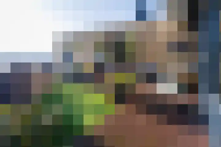 Havenkade 29 Almelo thumbnail 23
