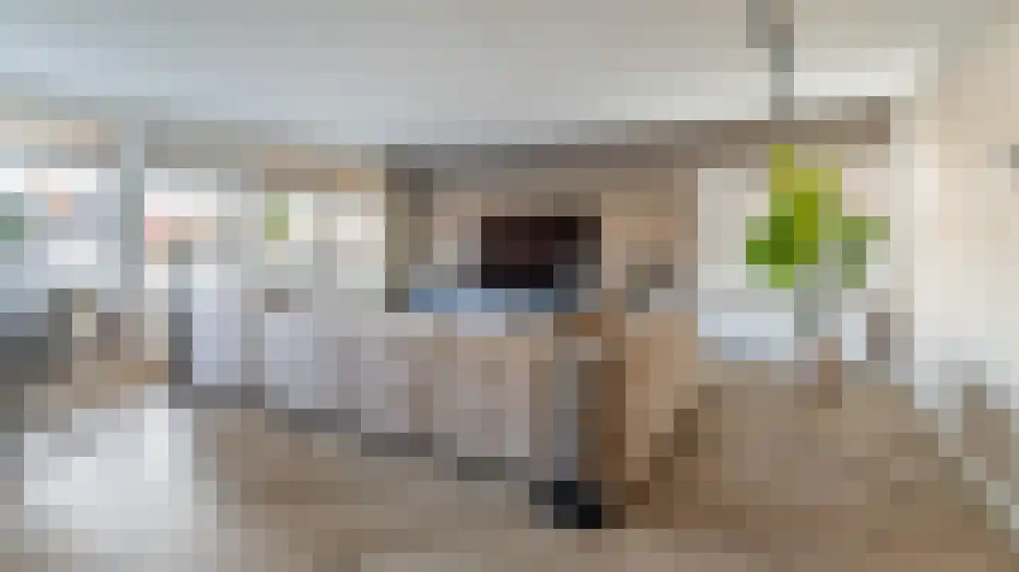 Havenkade 31 Almelo thumbnail 7