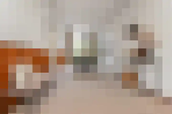 Havenkade 31 Den Haag thumbnail 17