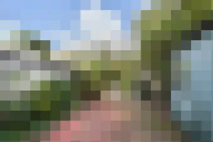 Havenkade 31 Den Haag thumbnail 4