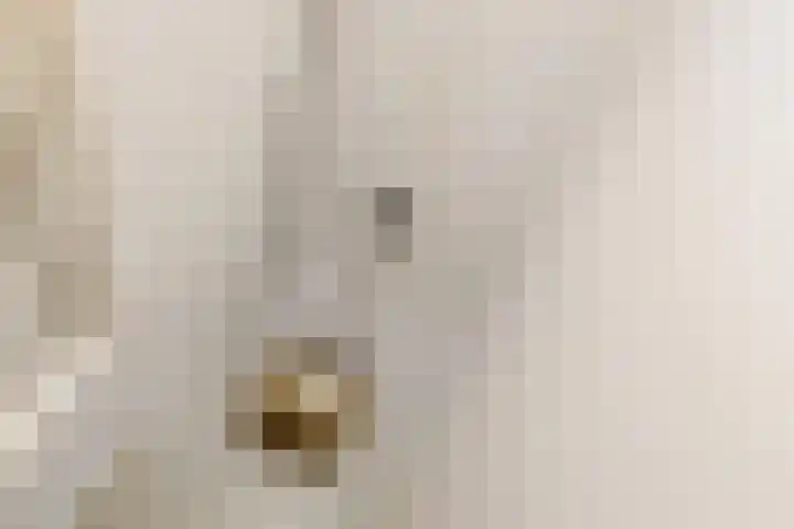 Havenkade 31 Den Haag thumbnail 6