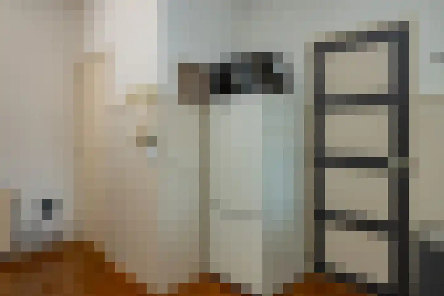 Havenkade 34 Elburg thumbnail 22