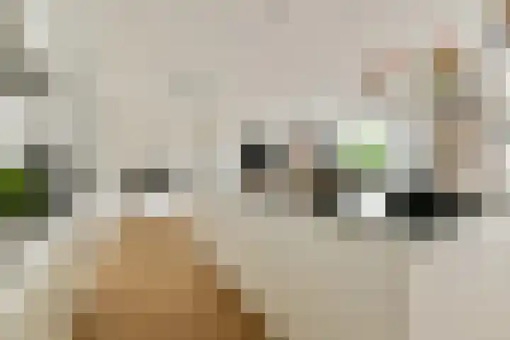 Havenkade 35 Wassenaar thumbnail 10