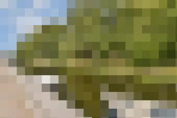 Havenkade 35 Wassenaar thumbnail 17