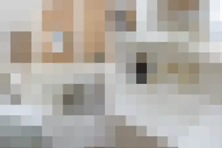 Havenkade 4 Hendrik-Ido-Ambacht thumbnail 38