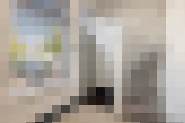 Havenkade 4 Hendrik-Ido-Ambacht thumbnail 7