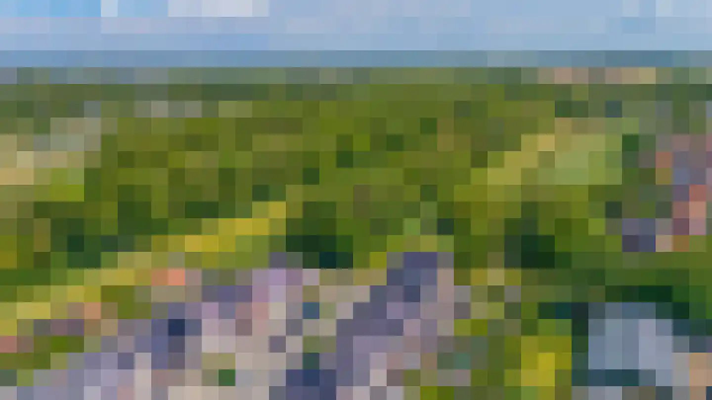 Havenkade 40 Middelharnis thumbnail 37