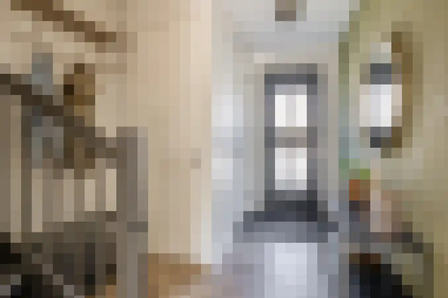 Havenkade 40 Middelharnis thumbnail 7