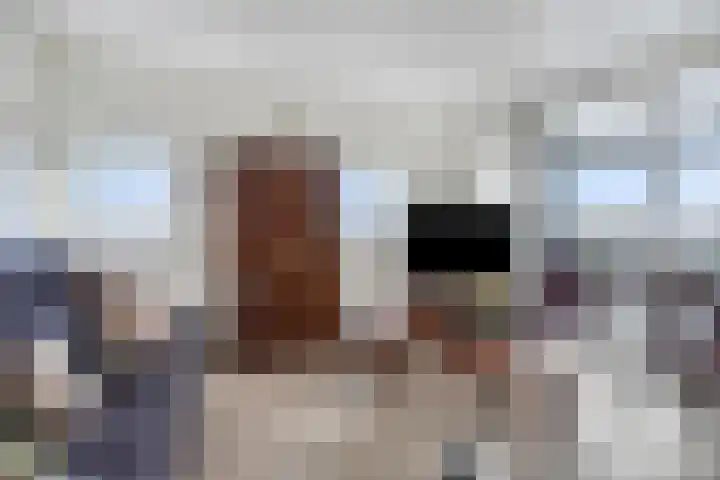 Havenkade 41 Musselkanaal thumbnail 18