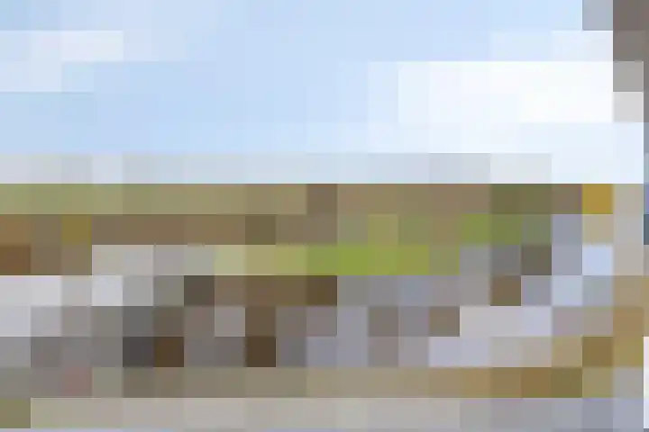 Havenkade 41 Musselkanaal thumbnail 6
