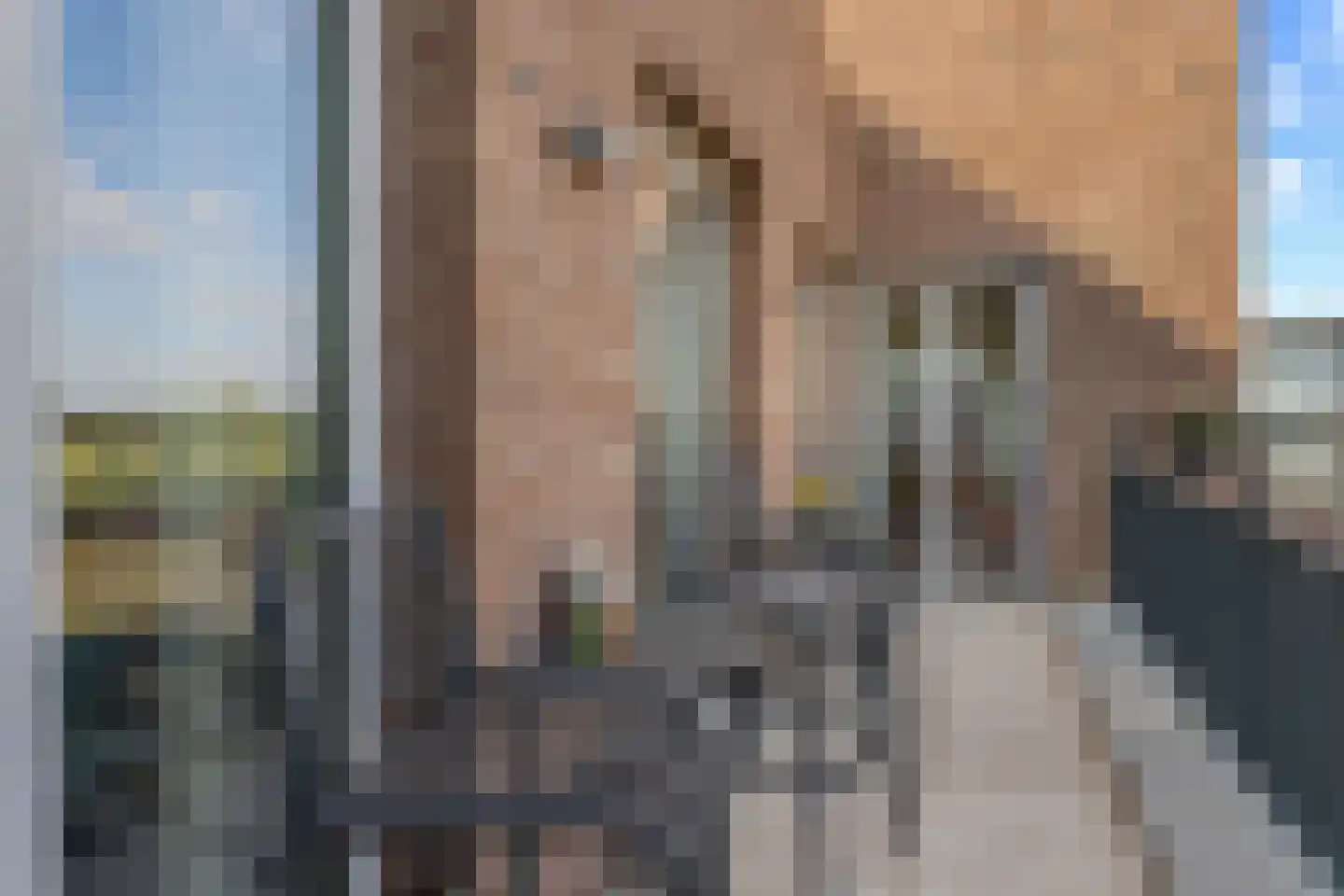 Havenkade 52 Venlo thumbnail 16