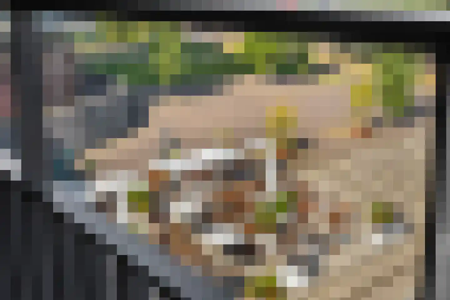 Havenkade 52 Venlo thumbnail 20