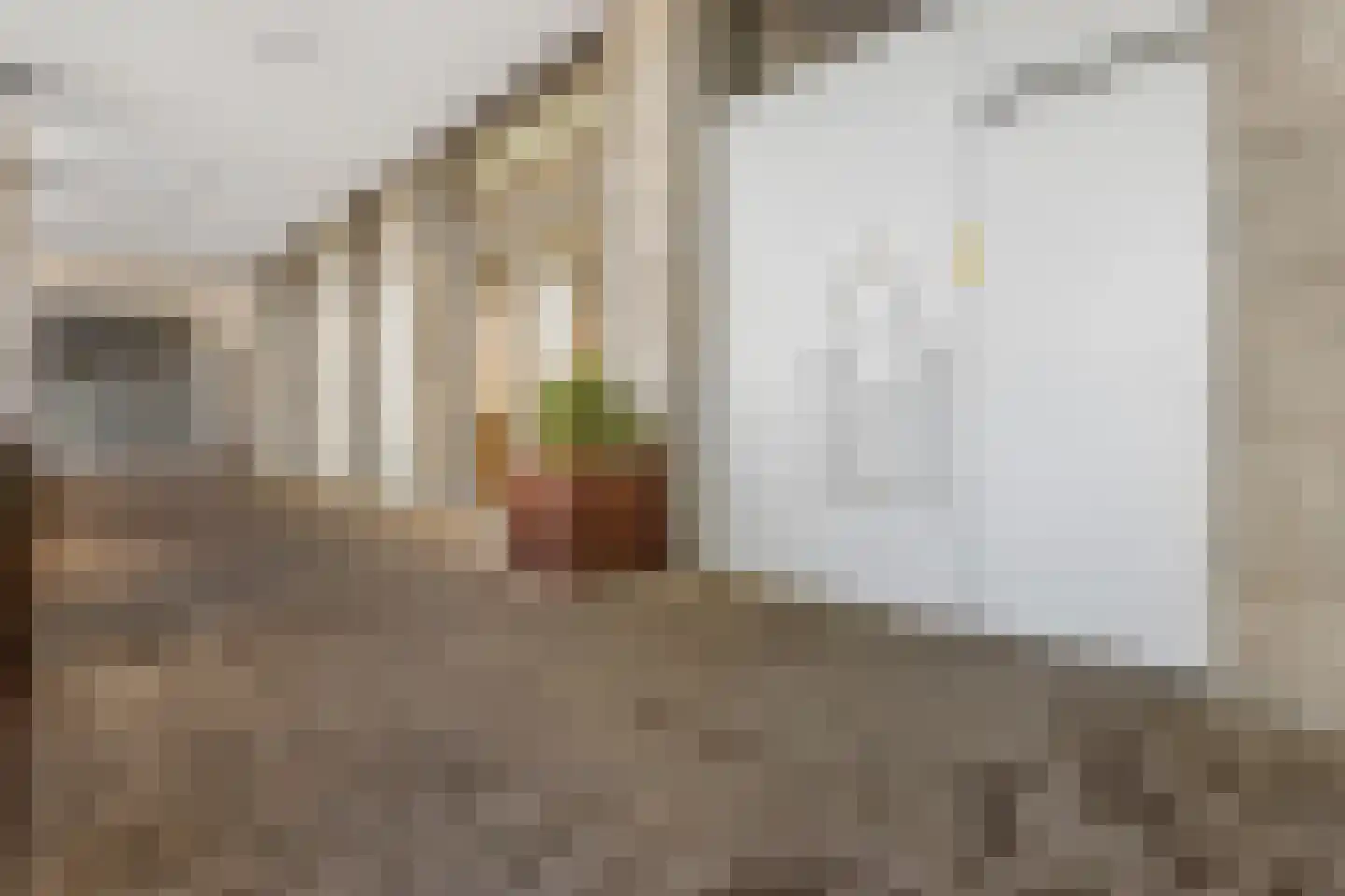 Havenkade 52 Venlo thumbnail 31