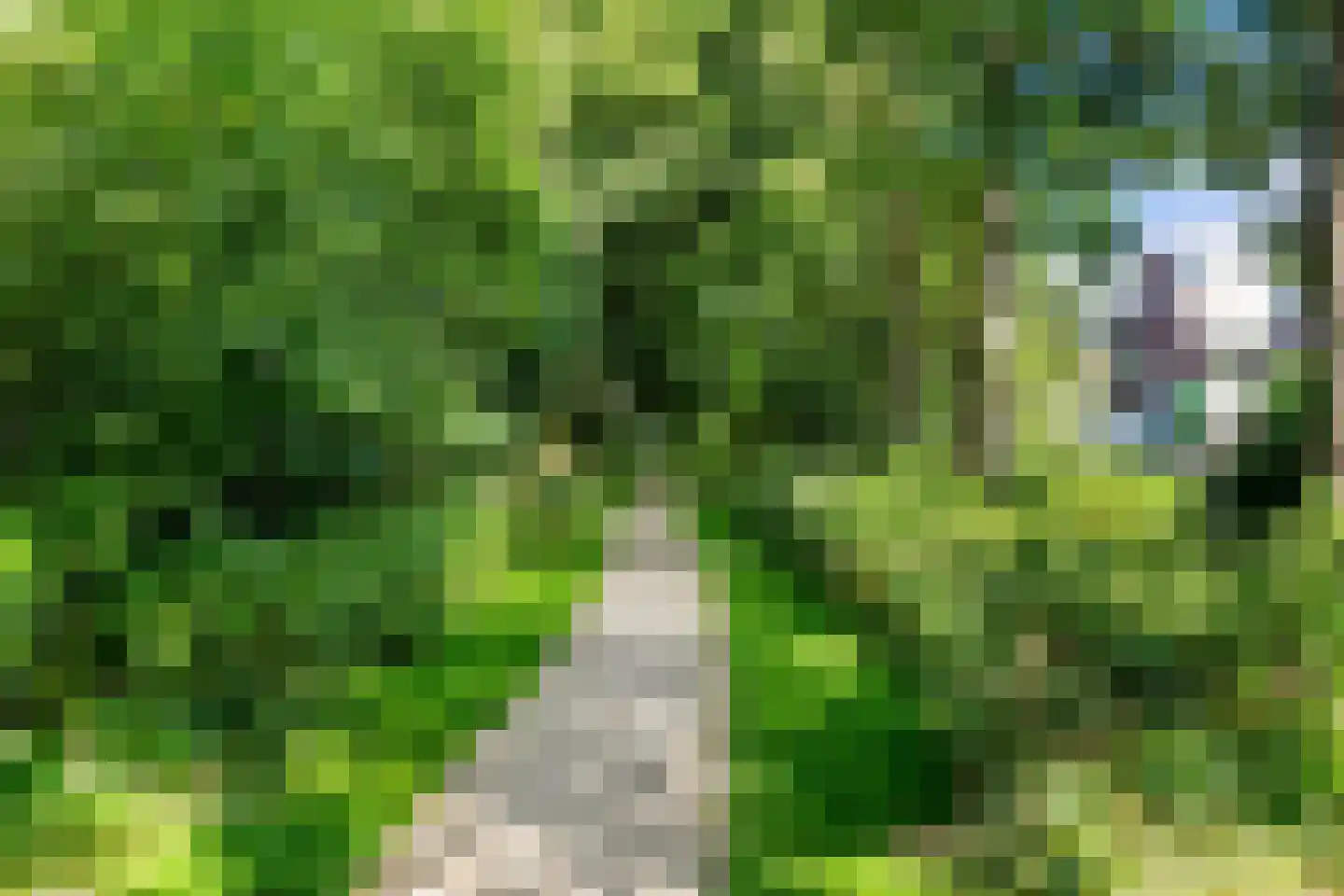 Havenkade 57 Wassenaar thumbnail 36