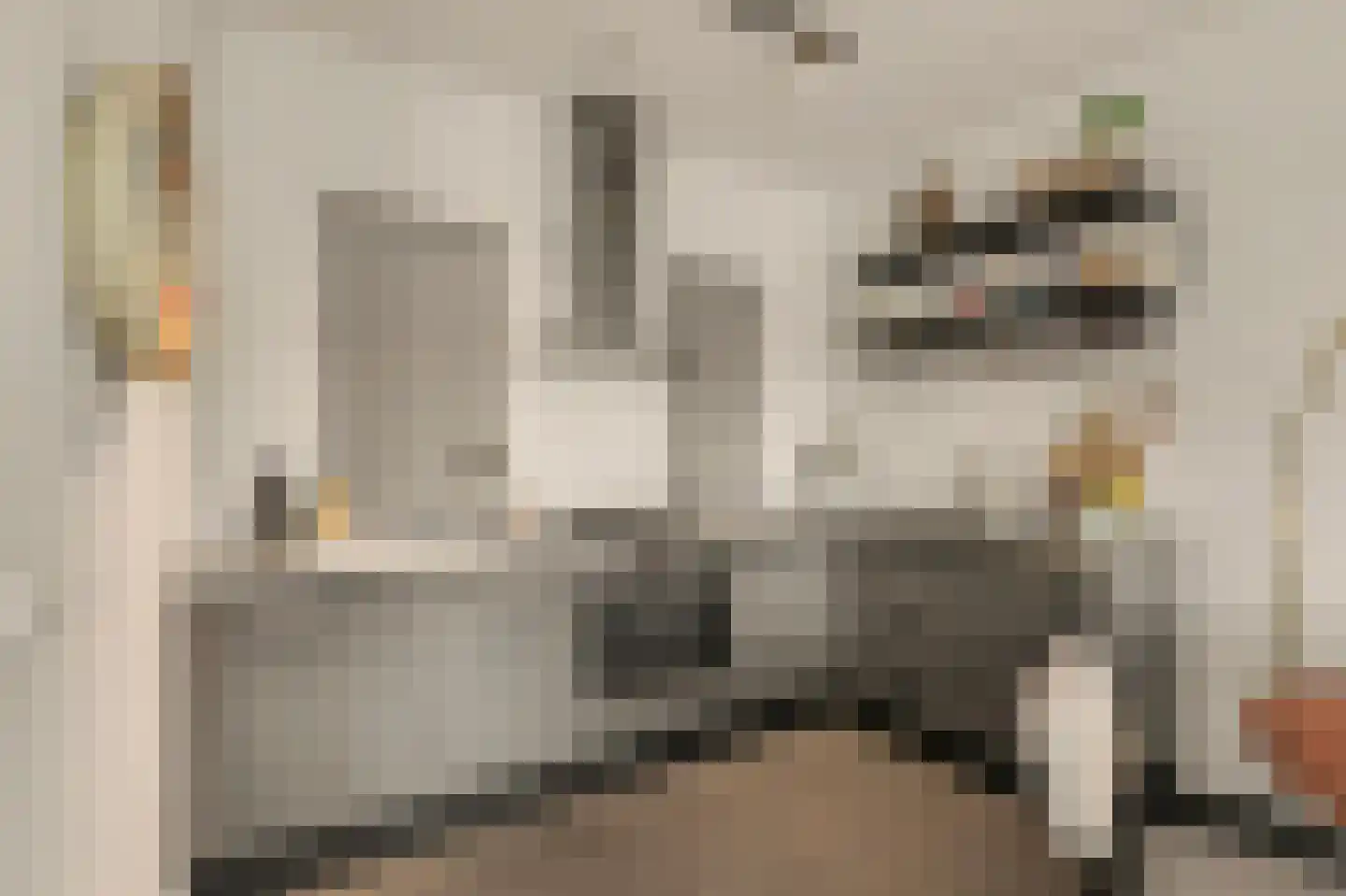 Havenkade 61 Venlo thumbnail 11