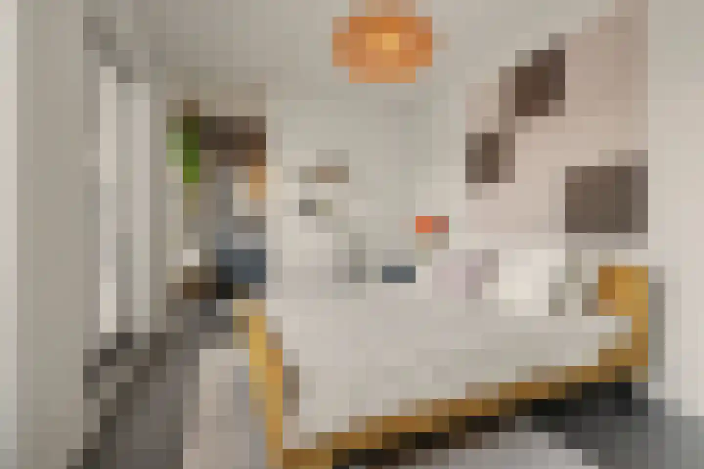 Havenkade 61 Venlo thumbnail 13