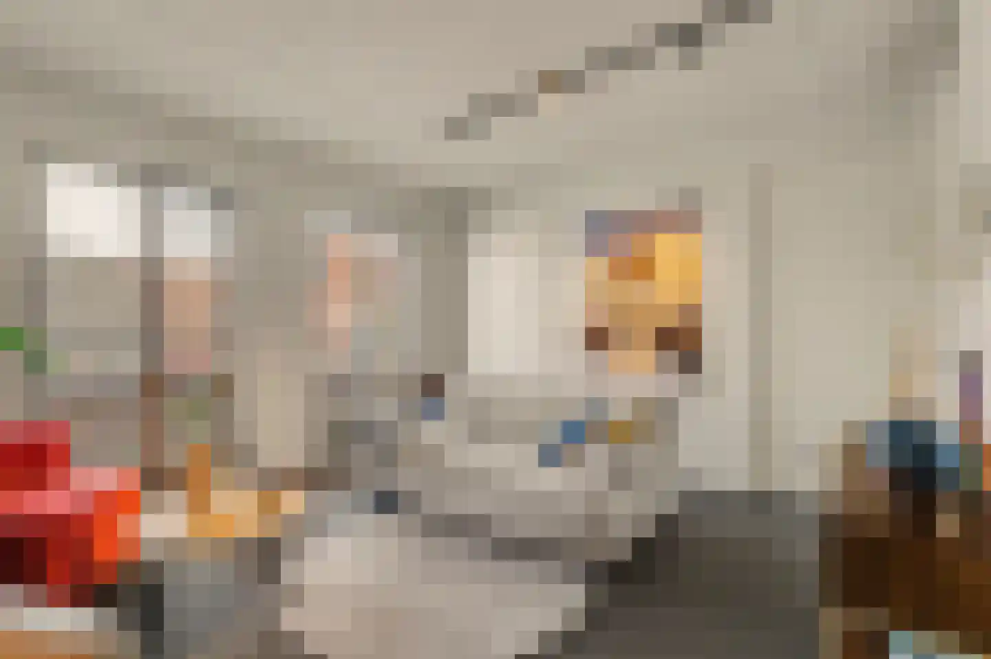Havenkade 61 Venlo thumbnail 5