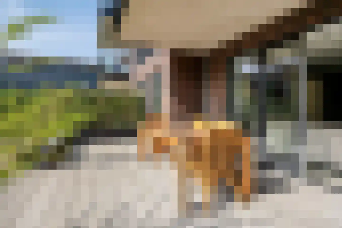 Havenkade 75 Wassenaar thumbnail 23