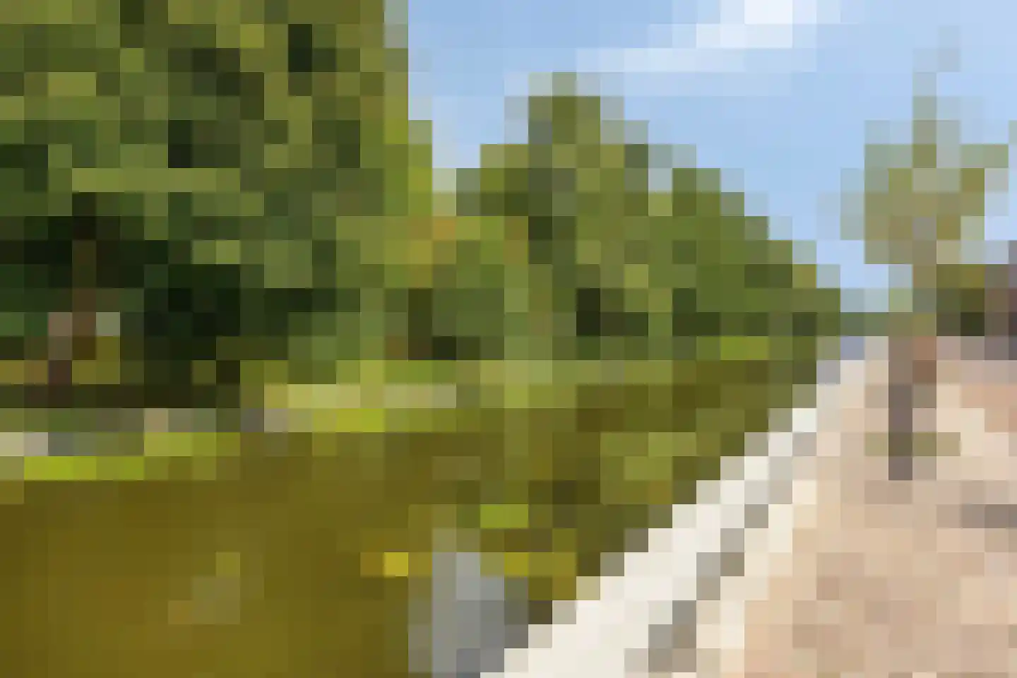 Havenkade 75 Wassenaar thumbnail 35
