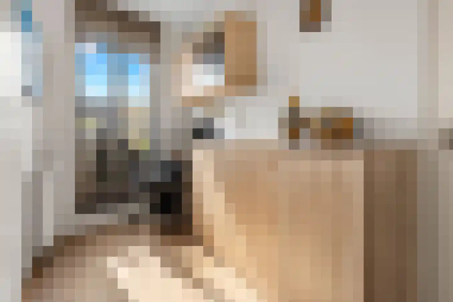Havenkade 78 Venlo thumbnail 28