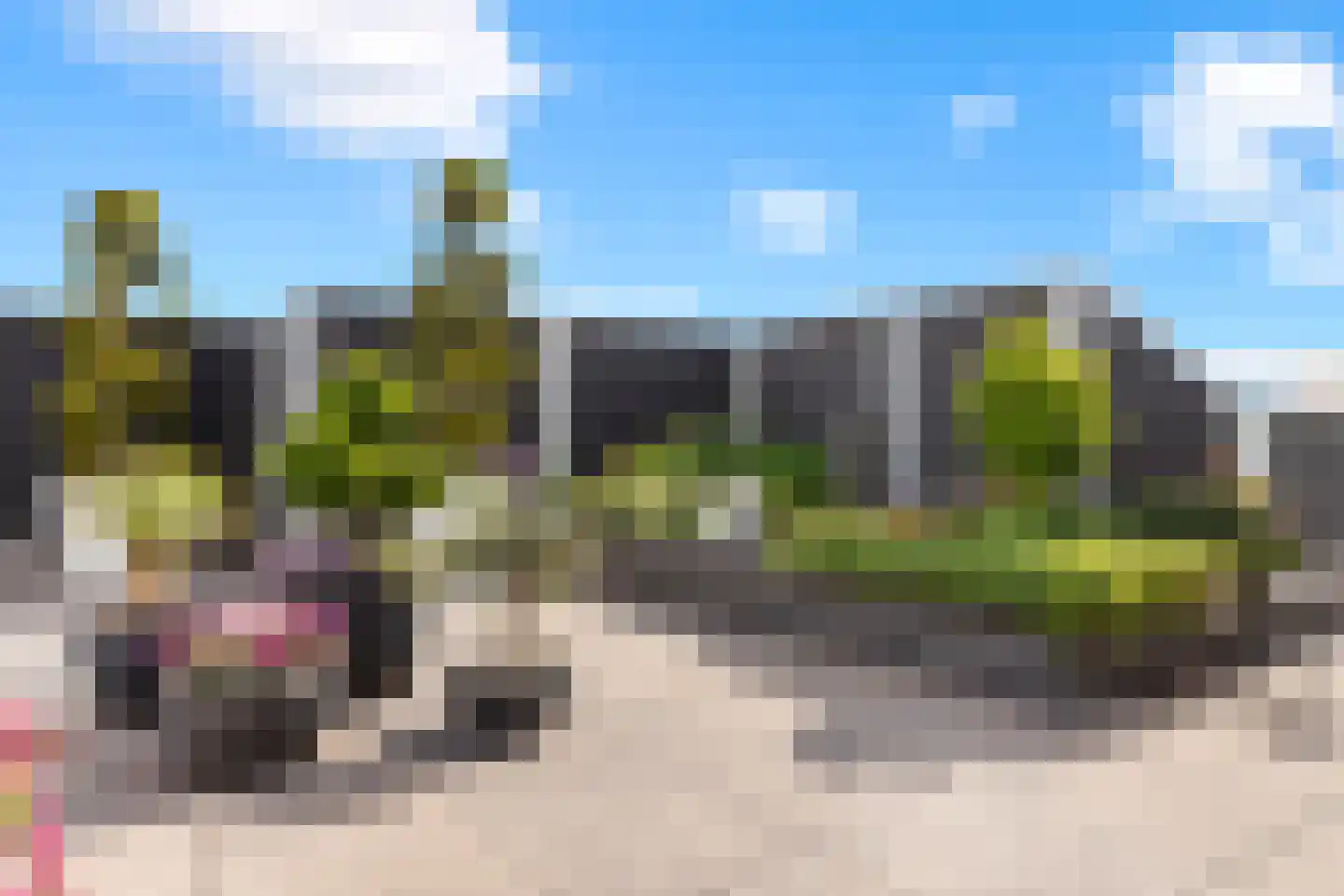 Havenkade 78 Venlo thumbnail 44