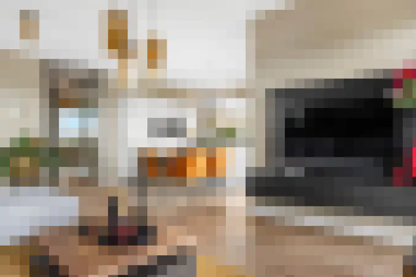 Havenkade 78 Venlo thumbnail 7