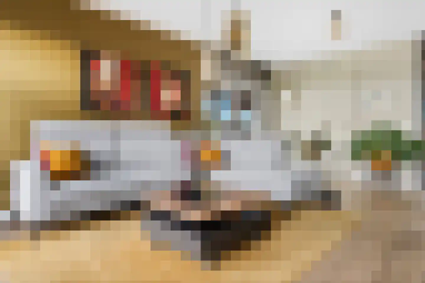 Havenkade 78 Venlo thumbnail 8