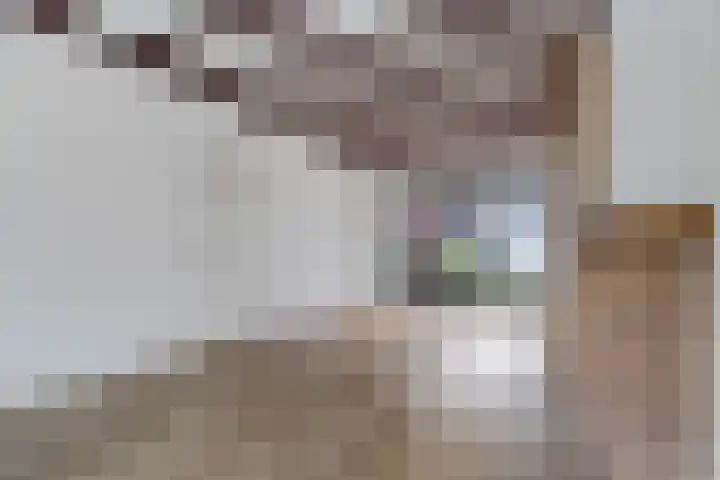 Havenkade 9 Harderwijk thumbnail 10