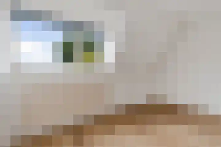 Havenkade 9 Harderwijk thumbnail 16