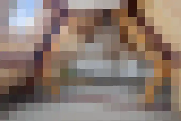 Havenkade 9 Harderwijk thumbnail 21