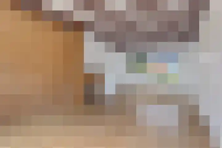 Havenkade 9 Harderwijk thumbnail 7