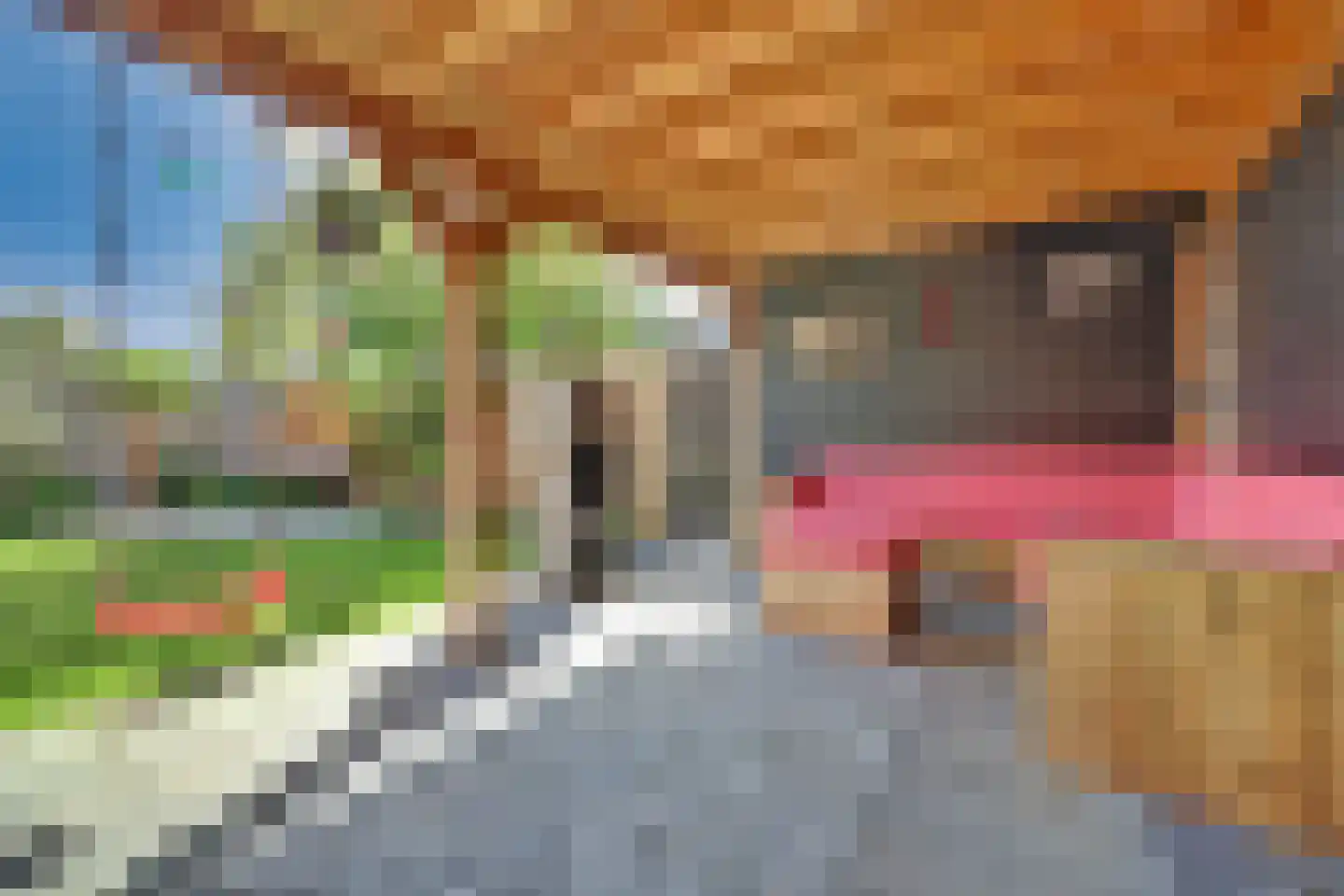 Havenkade 90 Spijkenisse thumbnail 20