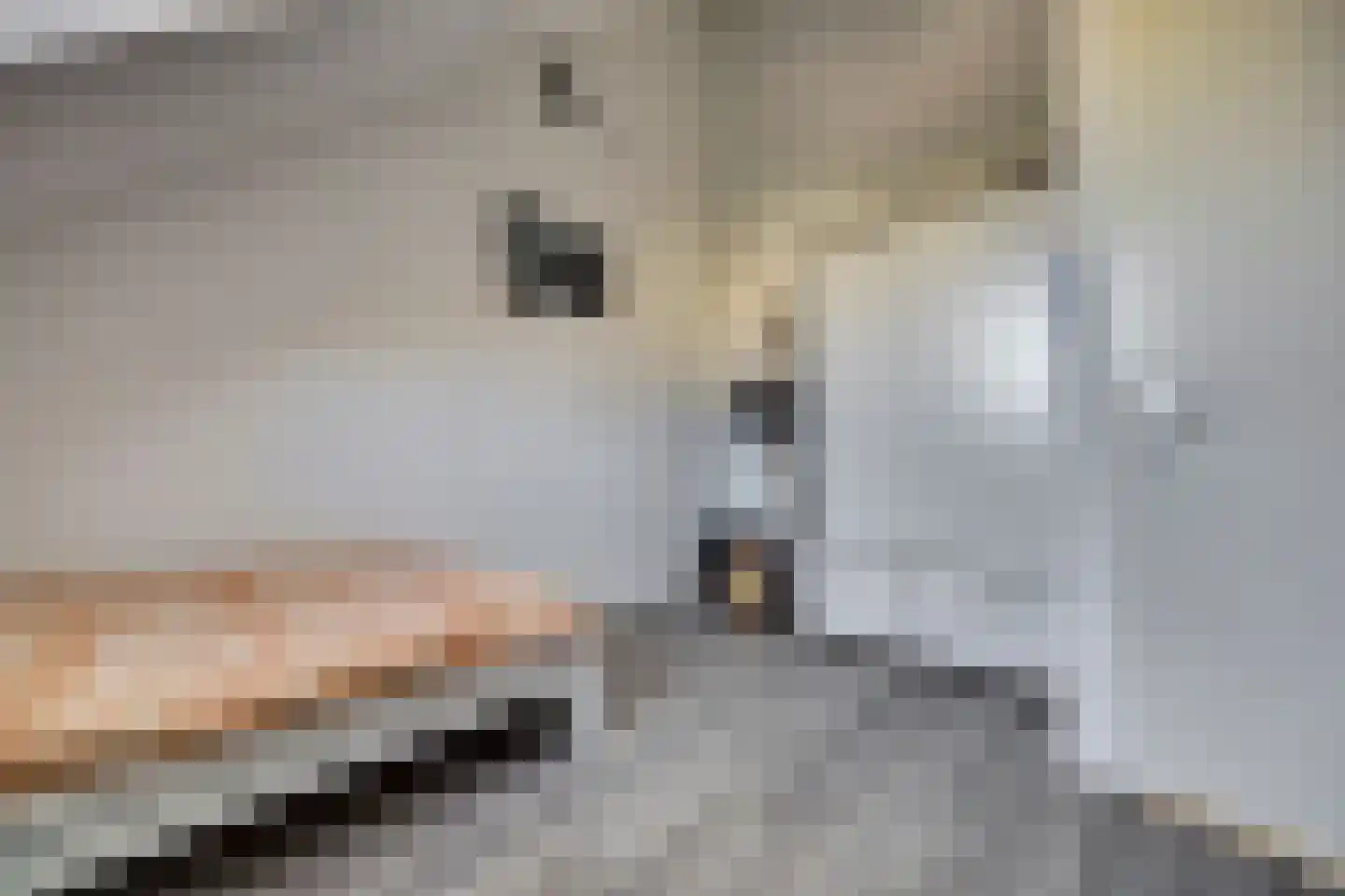 Havenkade 90 Spijkenisse thumbnail 36