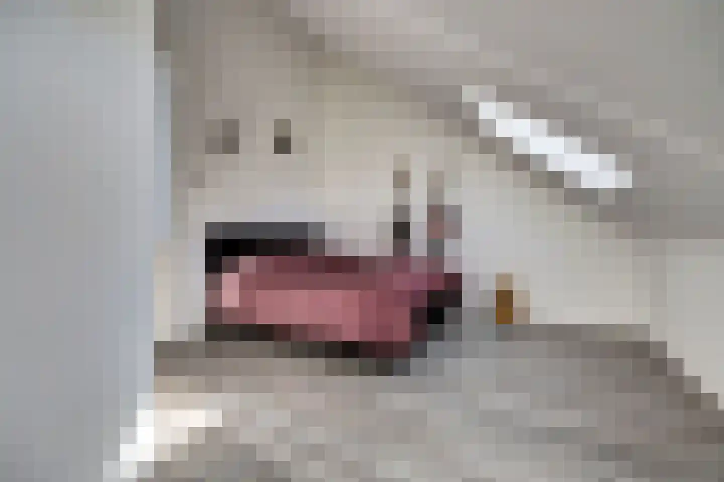Havenkade 90 Spijkenisse thumbnail 37