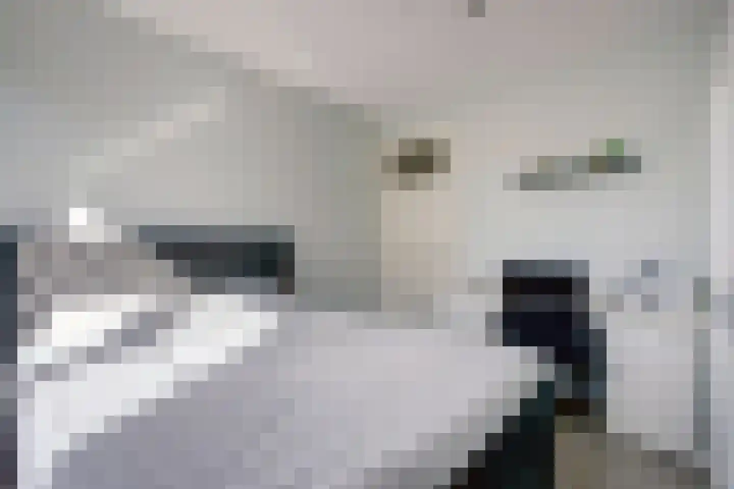 Havenkade 92 Spijkenisse thumbnail 28