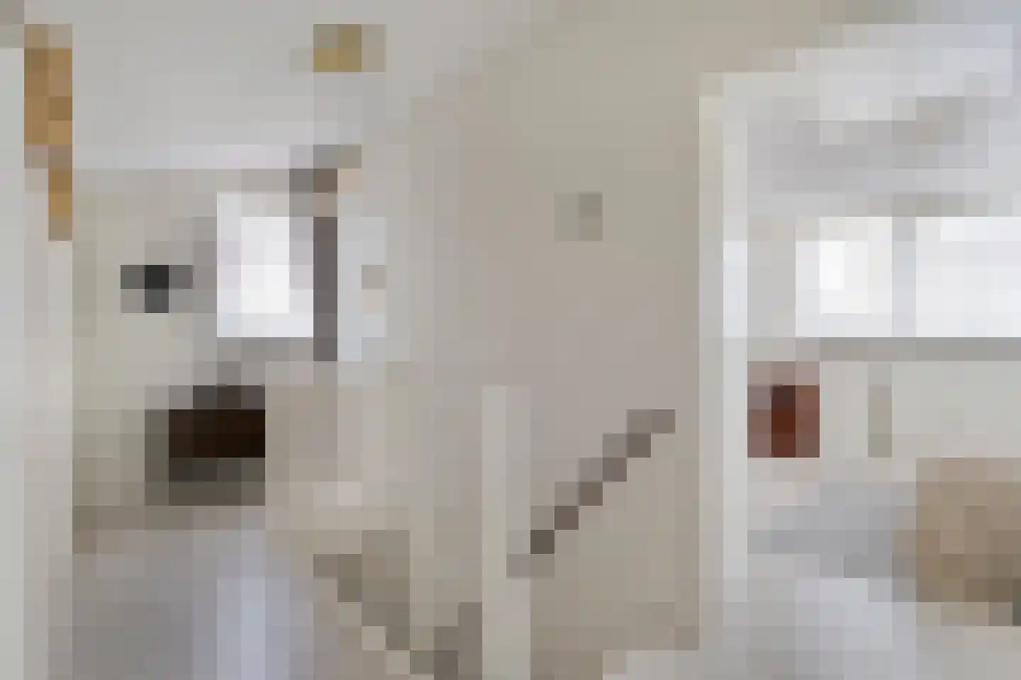Havenkant 16 Biddinghuizen thumbnail 29