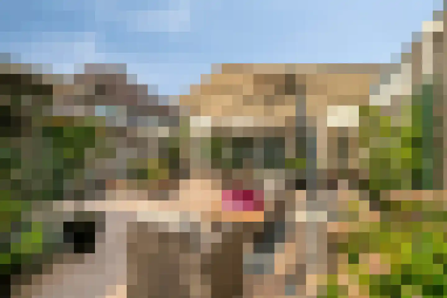 Havenkant 16 Biddinghuizen thumbnail 41