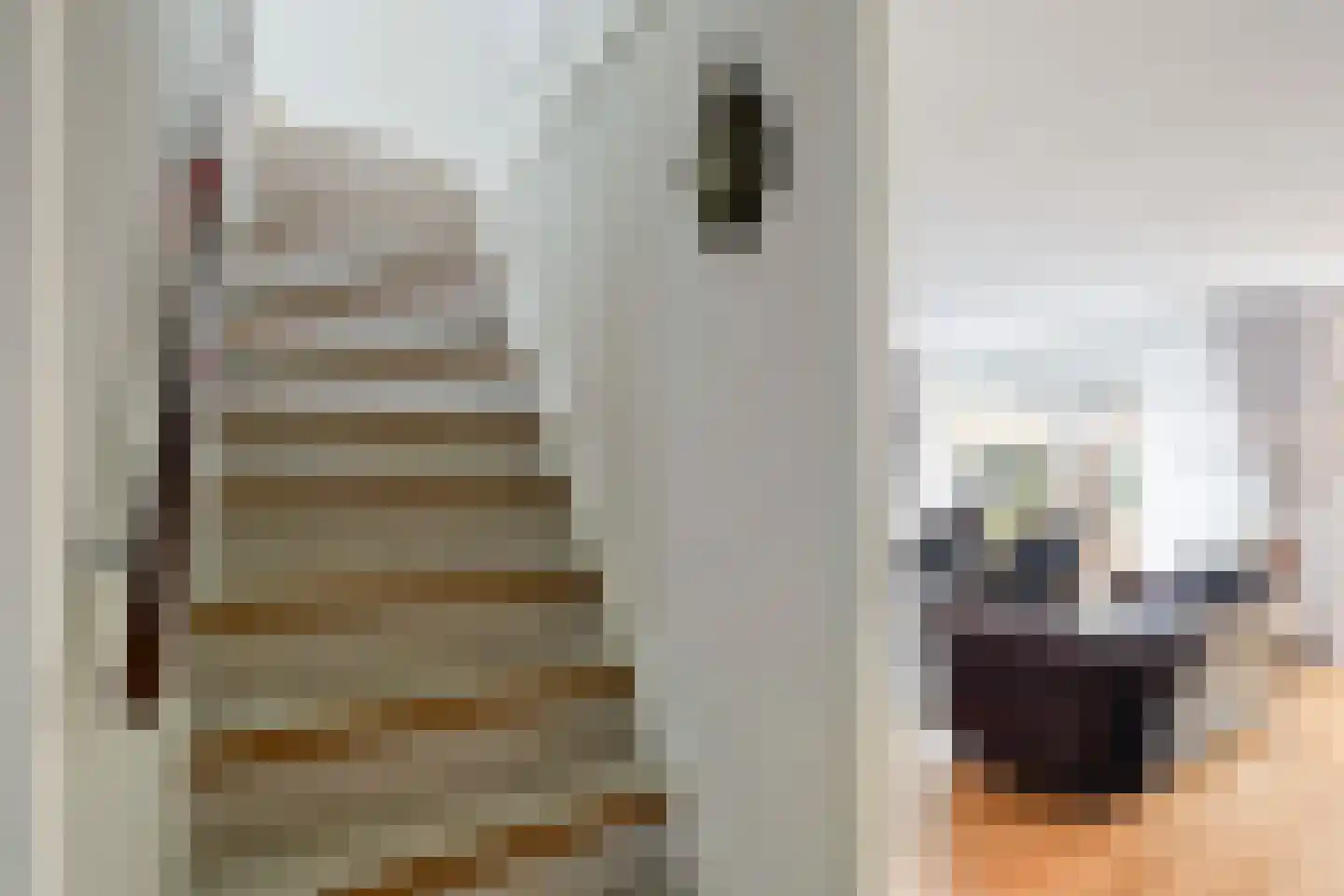 Havenkant 16 Biddinghuizen thumbnail 9