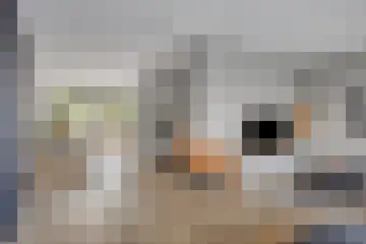 Havenkant 52 Biddinghuizen thumbnail 11