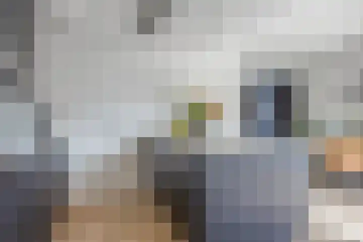 Havenkant 52 Biddinghuizen thumbnail 17