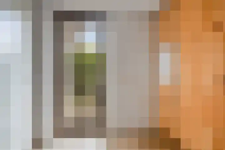Havenkant 52 Biddinghuizen thumbnail 18