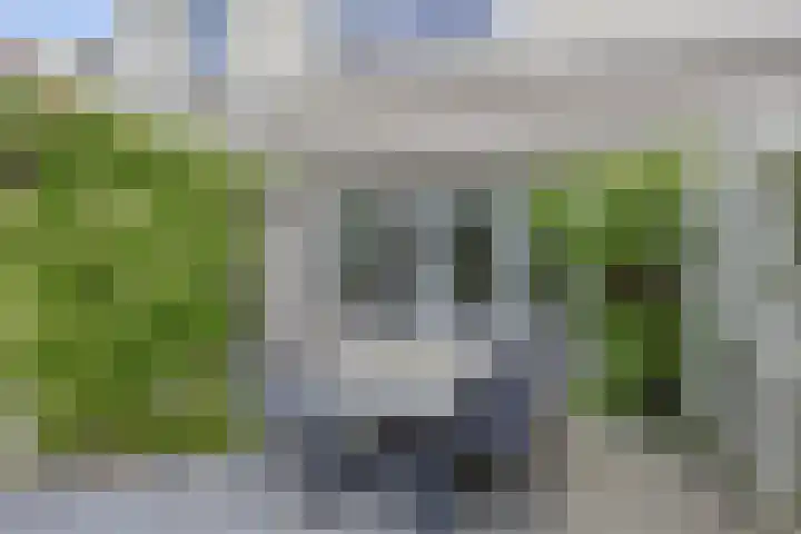 Havenkant 52 Biddinghuizen thumbnail 27