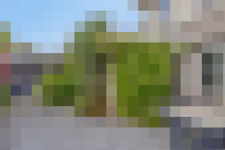 Havenkant 52 Biddinghuizen thumbnail 28