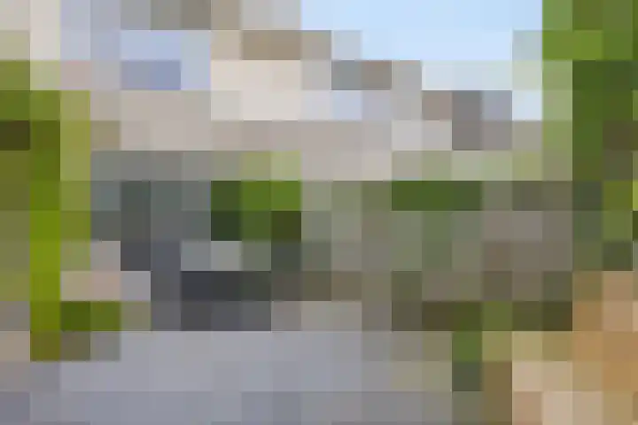 Havenkant 52 Biddinghuizen thumbnail 29