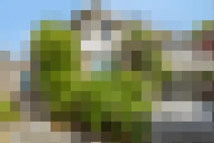 Havenkant 52 Biddinghuizen thumbnail 32