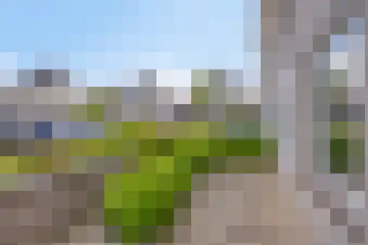 Havenkant 52 Biddinghuizen thumbnail 7