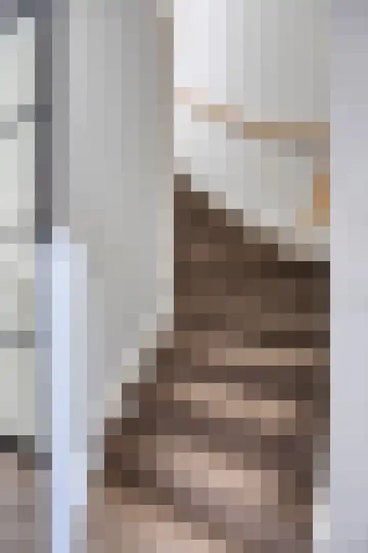 Havenkant 6 Heerjansdam thumbnail 10