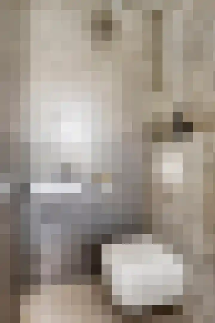 Havenkant 6 Heerjansdam thumbnail 12