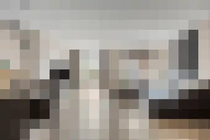 Havenkant 6 Heerjansdam thumbnail 13